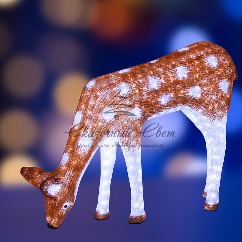 Акриловая светодиодная фигура "Олень мама коричневая" 82х116 см, 300 светодиодов IP65 понижающий трансформатор в комплекте, NEON-NIGHT