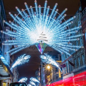 Световое пано Хвост павлина 80х50 см.