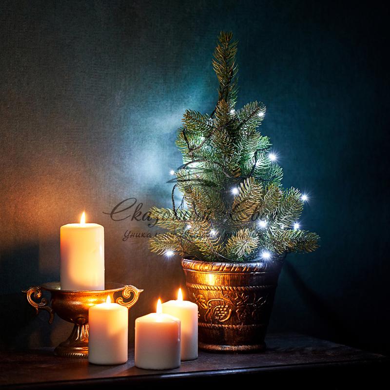 Гирлянда "Твинкл Лайт" 4 м, темно-зеленый ПВХ, 25 LED, цвет белый - Image 2