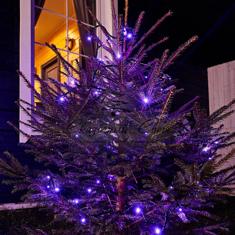 Гирлянда "Твинкл Лайт" 10 м, черный ПВХ, 100 диодов, цвет фиолетовый - Image 2