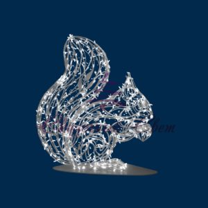 Световая Белка