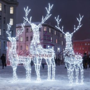 Семья оленей (2 оленя динамика серия 1,9м; динамика серия 2,5м)